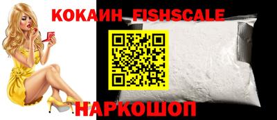 шишки Камышлов