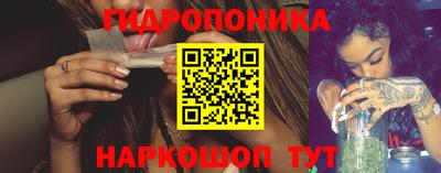 шишки Камышлов