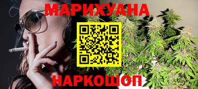шишки Камышлов