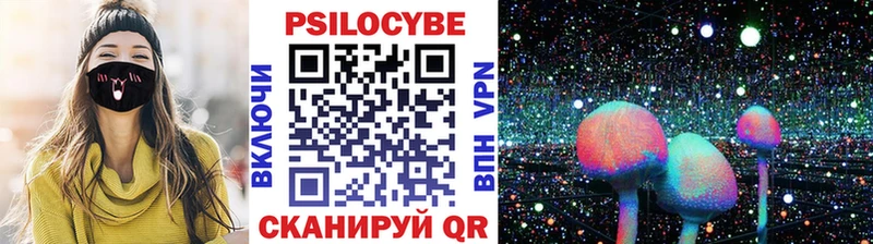 Псилоцибиновые грибы Magic Shrooms  где продают наркотики  Краснодар 