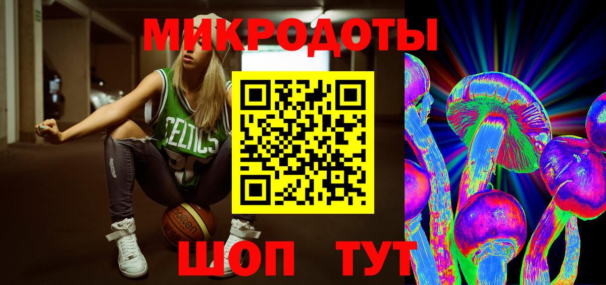 Псилоцибиновые грибы Psilocybe Краснодар